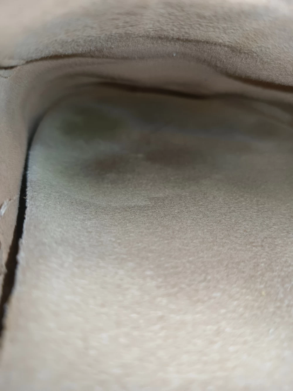 IMG_20261018_041849.jpg
